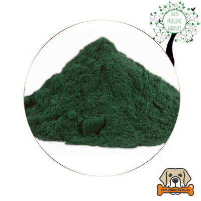 Chlorella prášek 100 g